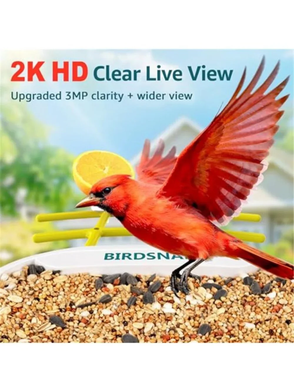 New TUC Bird Feeder with Camera 2K HD Live with 32GB Card Auto Detect